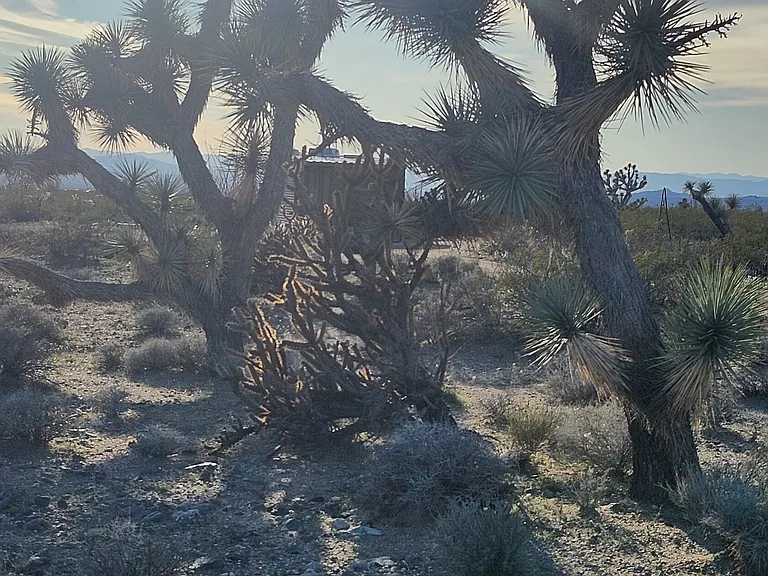 S Wild Bill Rd — Photo 20