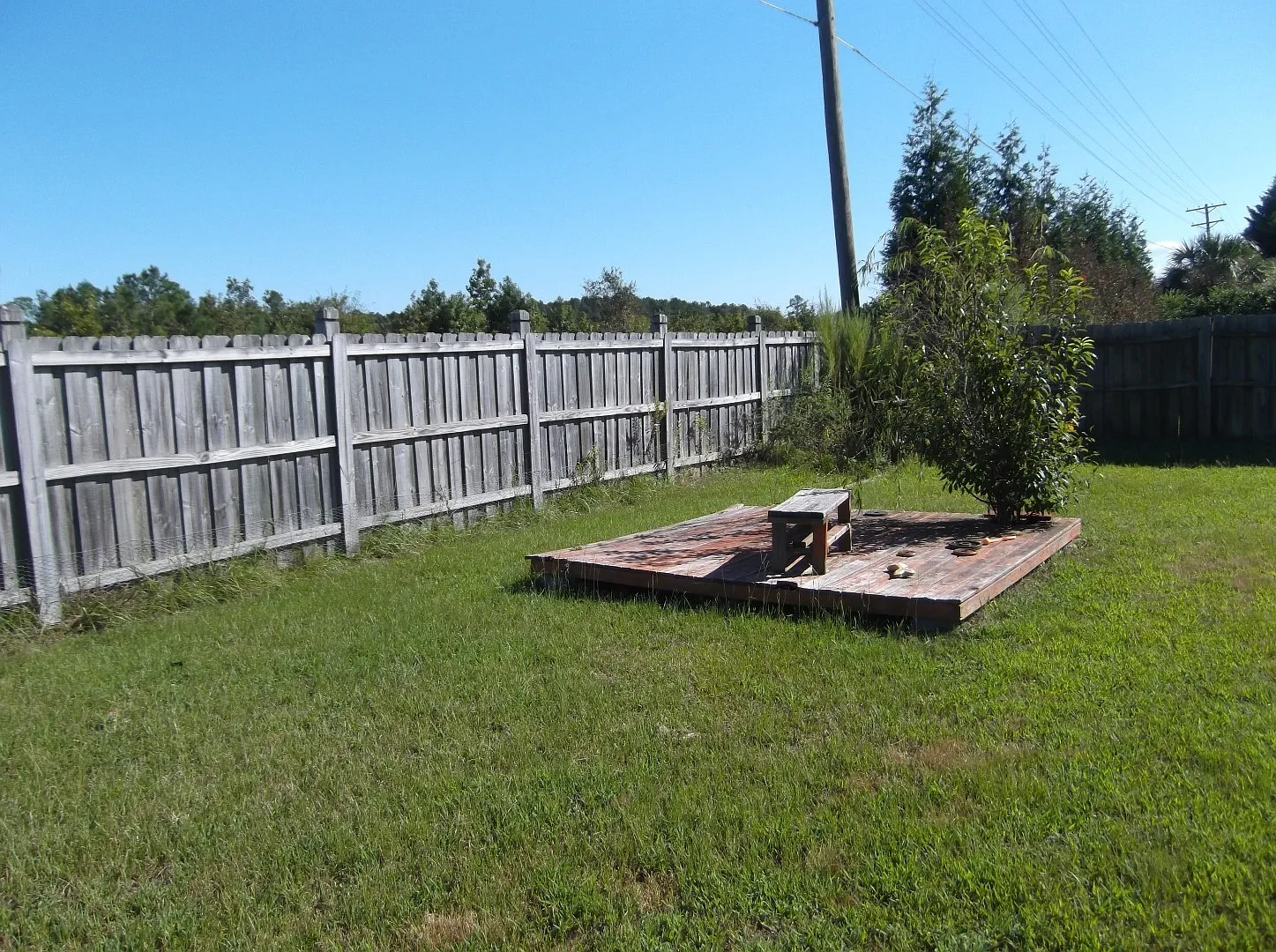 4 Bedroom 2.5 Bathroom! Bridlewood Subdivision! Coming Available At The End Of July! — Photo 4