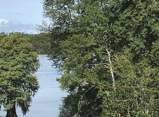 1040 Lesesne Dr, Manning, SC 29102