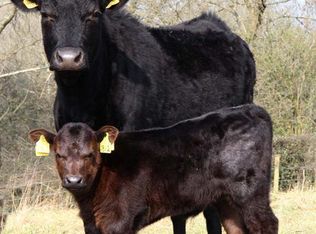 12843 Rose Rd, Trenton, IL 62293