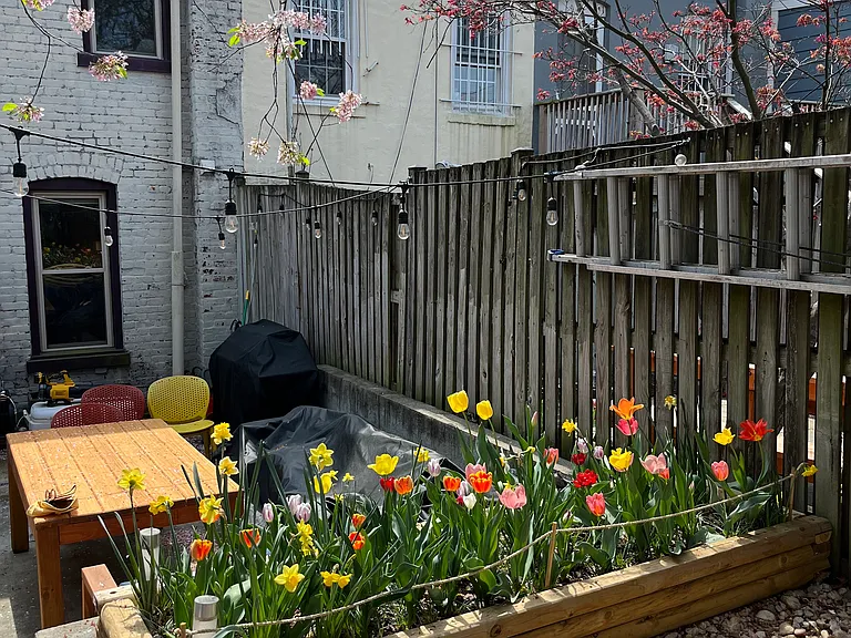 829 Euclid St NW — Photo 10