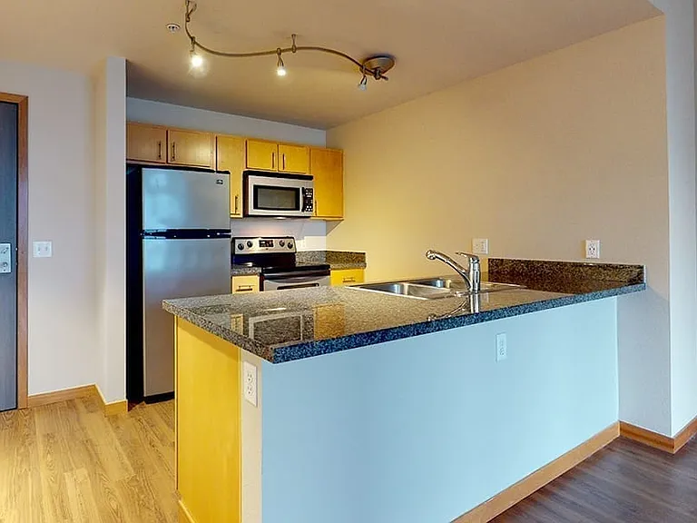 Apartment kitchen with stainless steel appliances, granite countertops and wood-style flooring.