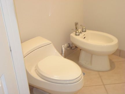 Master Bath with Bidet
