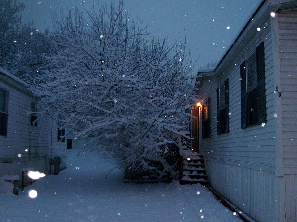 Snowy Night