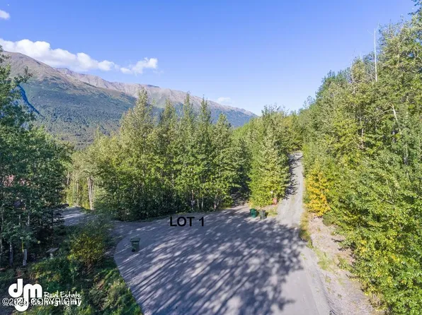 L1 Misty Mountain Cir, Eagle River, AK 99577