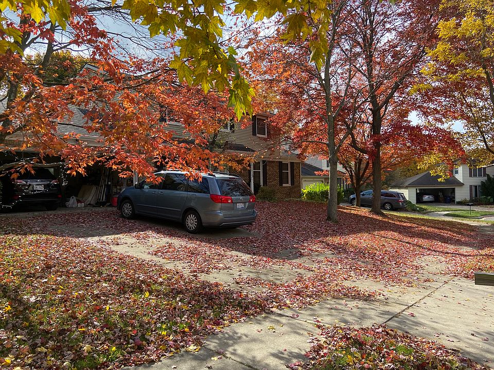 Front yard