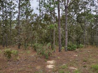 SW 137th Ct LOT 10, Dunnellon, FL 34432