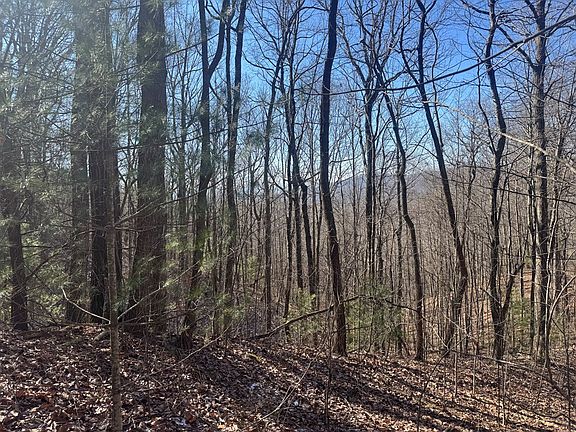 4th image of 17 W Ridge Dr