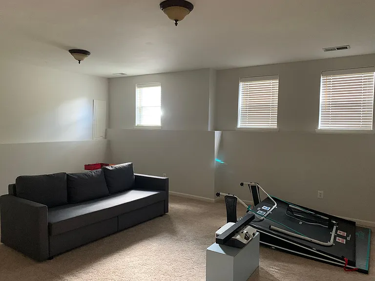 Basement movie room