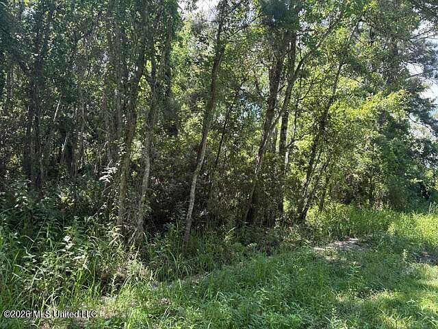 2nd image of N Juanita Street Lot 1090 Lot 1156-1157