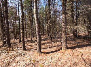 Dutch Hill Rd, Davenport, NY 13750