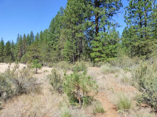 W Ponderosa Dr, Lookout, CA 96054