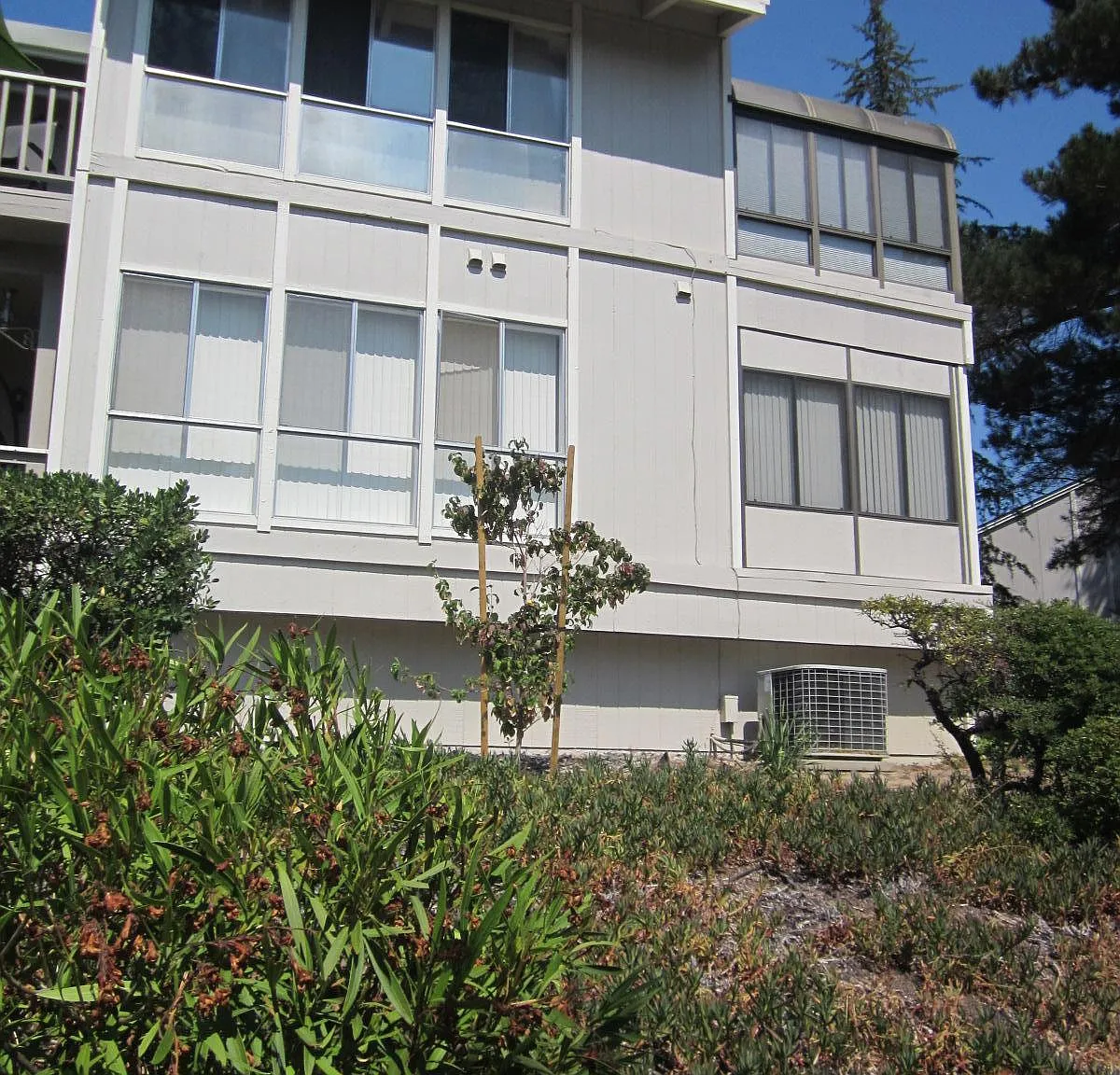 3 bed, 2.5 bath, 2000 sqft, $4,295 — Photo 1