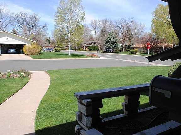 Looking out at the neighborhood...