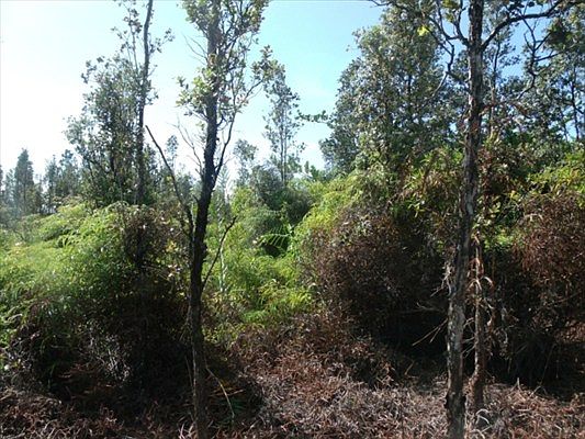 2nd image of 5th Ave Lot 2358