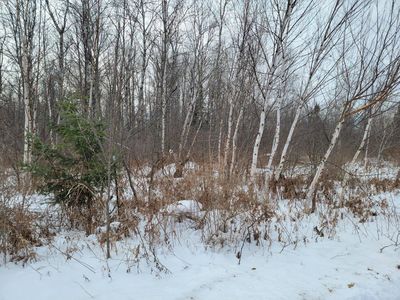 N Weirgor Rd #5, Exeland, WI, 54835