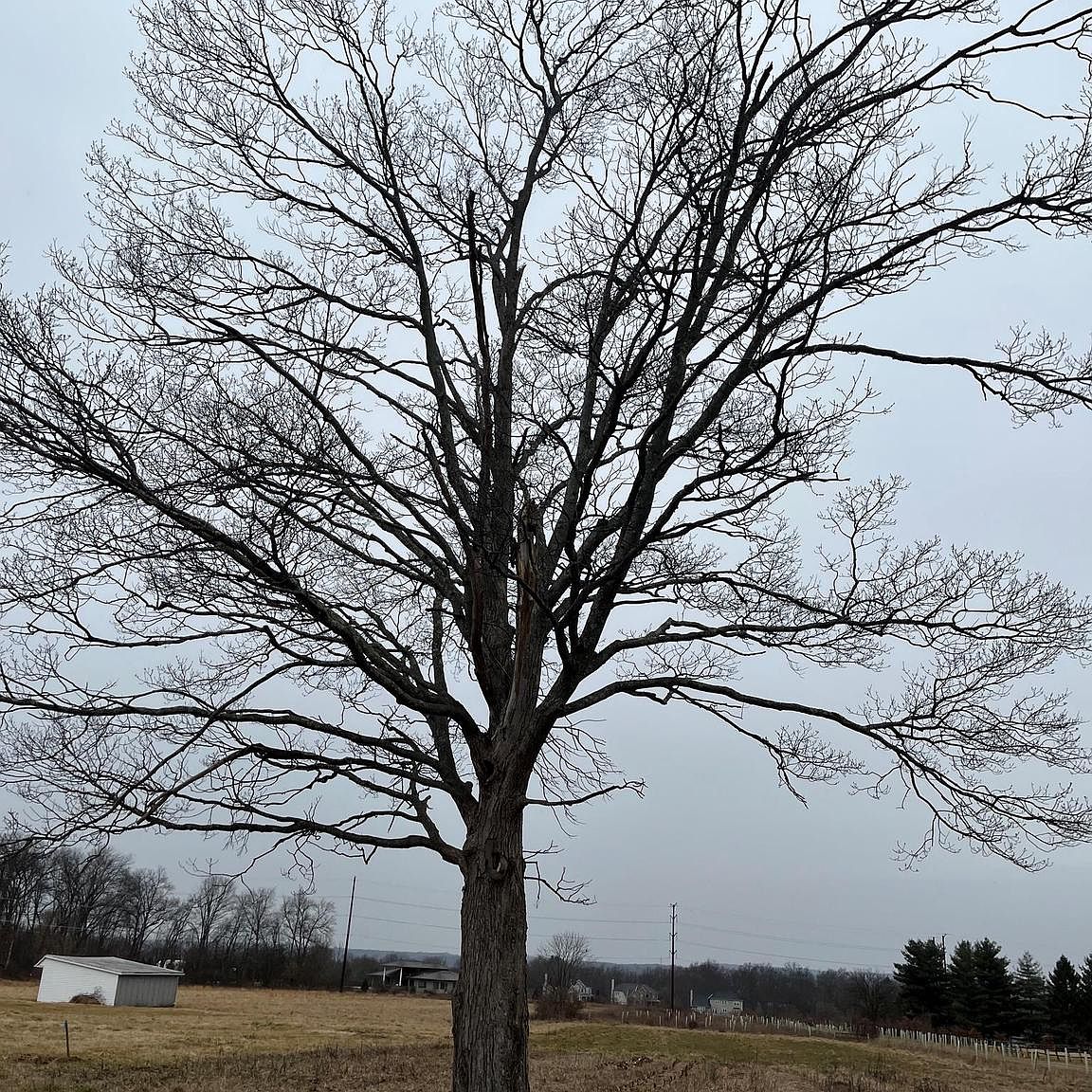 0 Schoolhouse Rd, Sellersville, PA 18960 Zillow