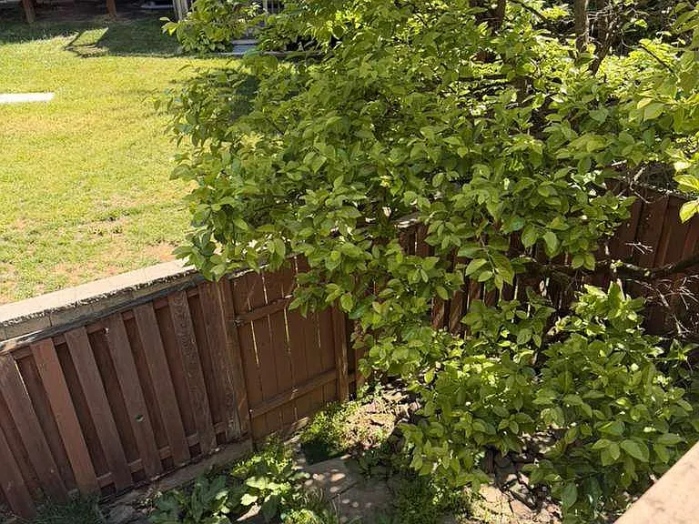 5976 Norham Dr — Photo 30
