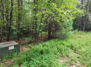 LOT 45 Old Mill Pond Rd, Mineral Bluff, GA 30559