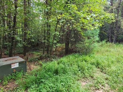 LOT 45 Old Mill Pond Rd, Mineral Bluff, GA, 30559