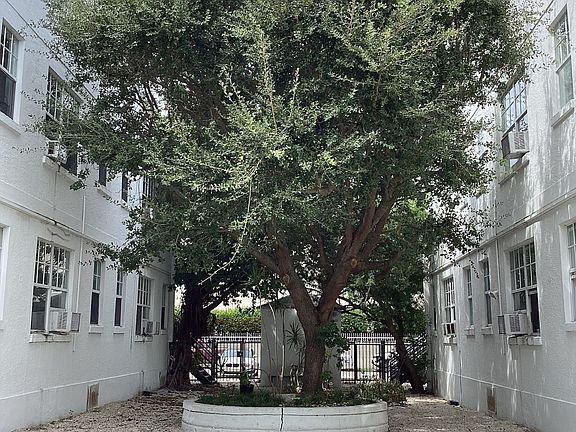 3rd image of 36 NE 65th St #14