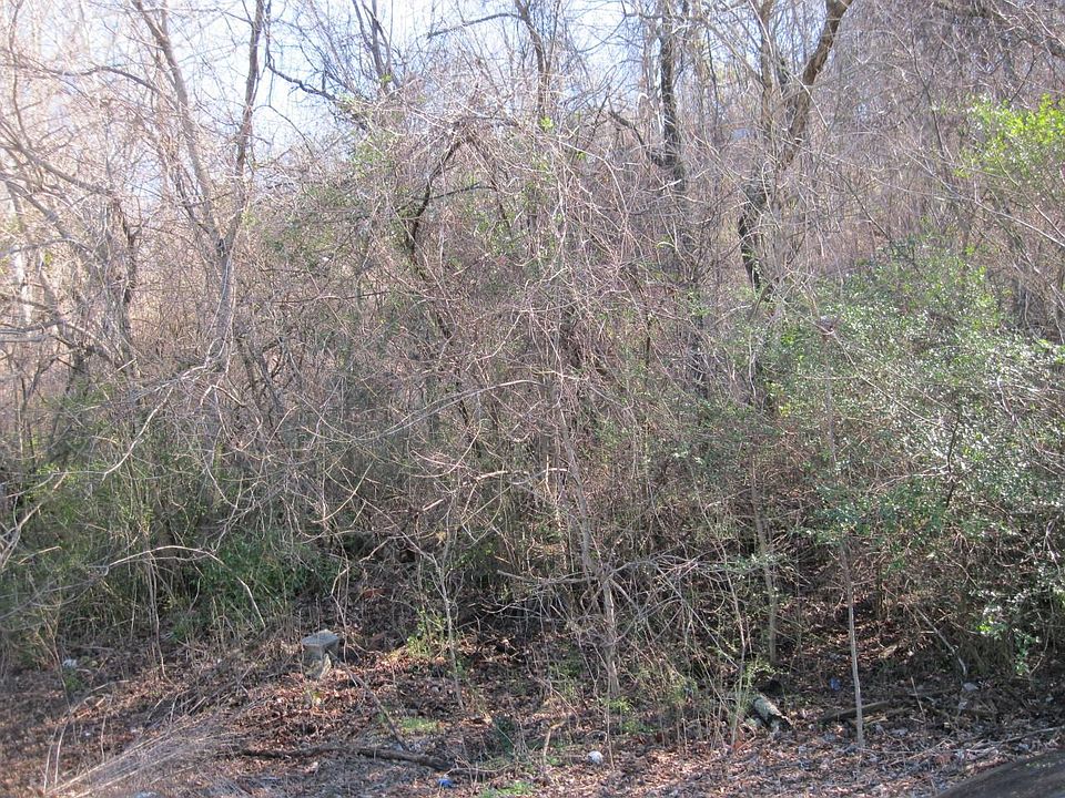 2nd image of 0 15th Ave