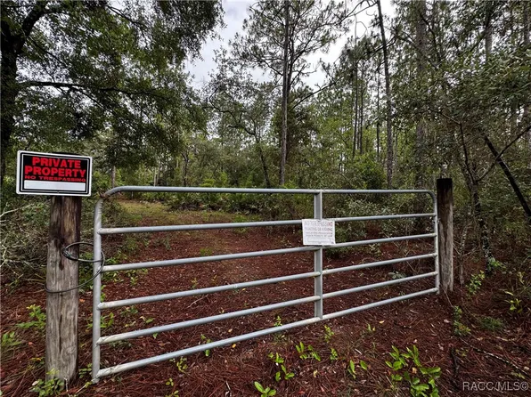 6338 W Tirana Ln, Dunnellon, FL 34433