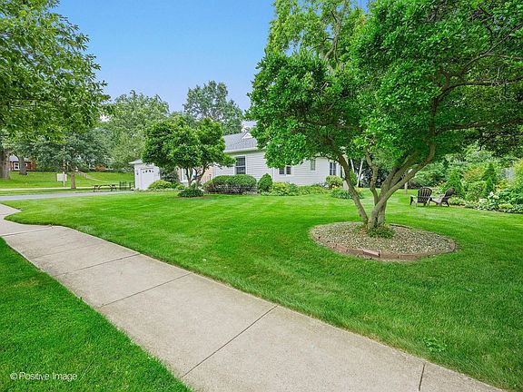 3rd image of 449 Arbor Ave