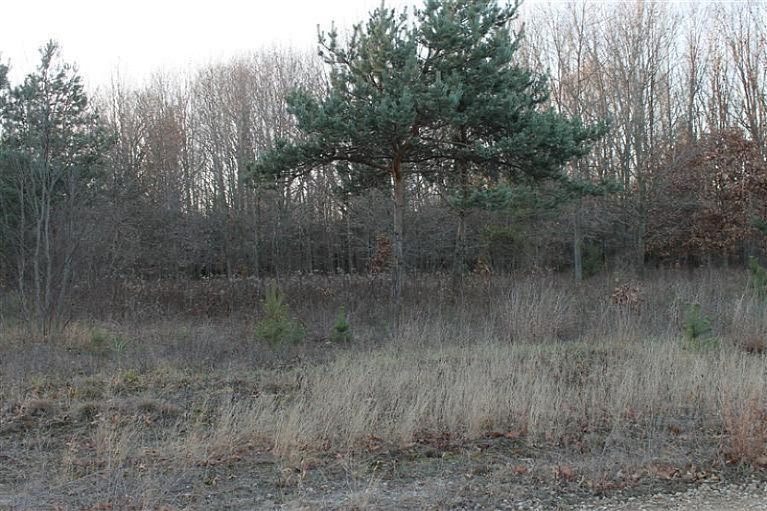 1st image of Zoe Ave Lot F