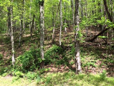 Lots 101 & 107 High Vista Dr, Mills River, NC, 28759