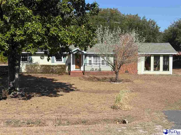 323 Hunts Mill Rd, Patrick, SC 29584