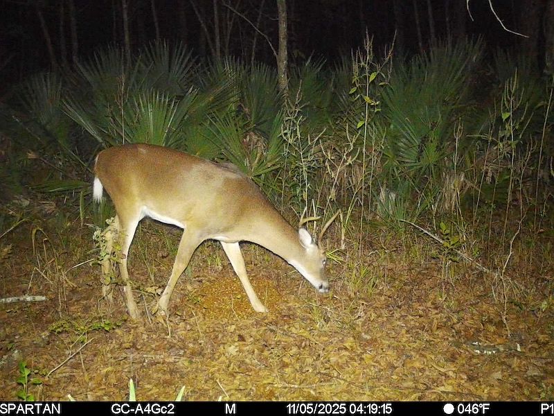 1st image of Highway 18 Lot Wp001