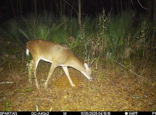 Highway 18 Lot Wp001, Cheneyville, LA 71325