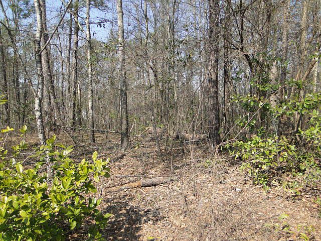 1st image of Brookside Dr.