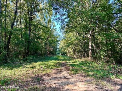Williams St NE, Brookhaven, MS, 39601