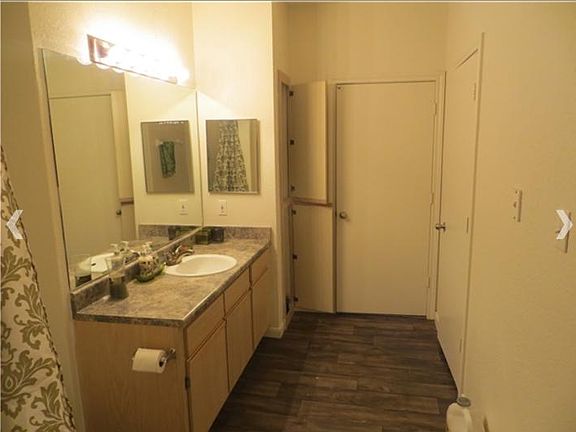 Your bathroom (the master)