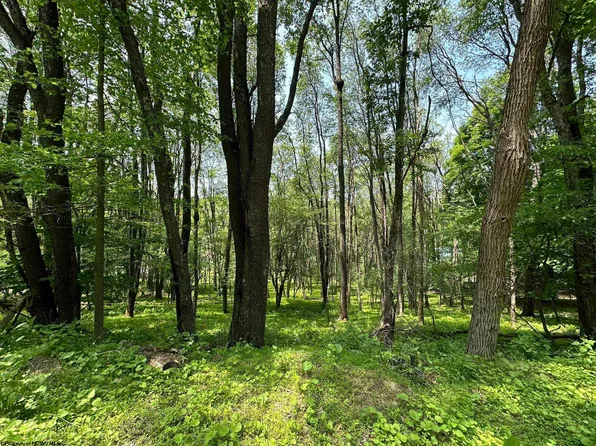 LOT 10 Fern Ct S, Terra Alta, WV 26764