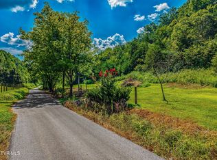 LOT 1 Bear Paw Ln, Rogersville, TN 37857