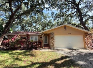 13828 Friendship Ln, Odessa, FL 33556