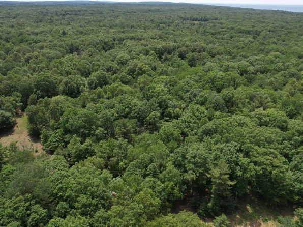 W Jackson Rd, Pentwater, MI 49449