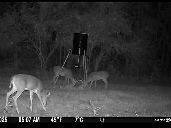 3rd image of 11353 Highway 84 W