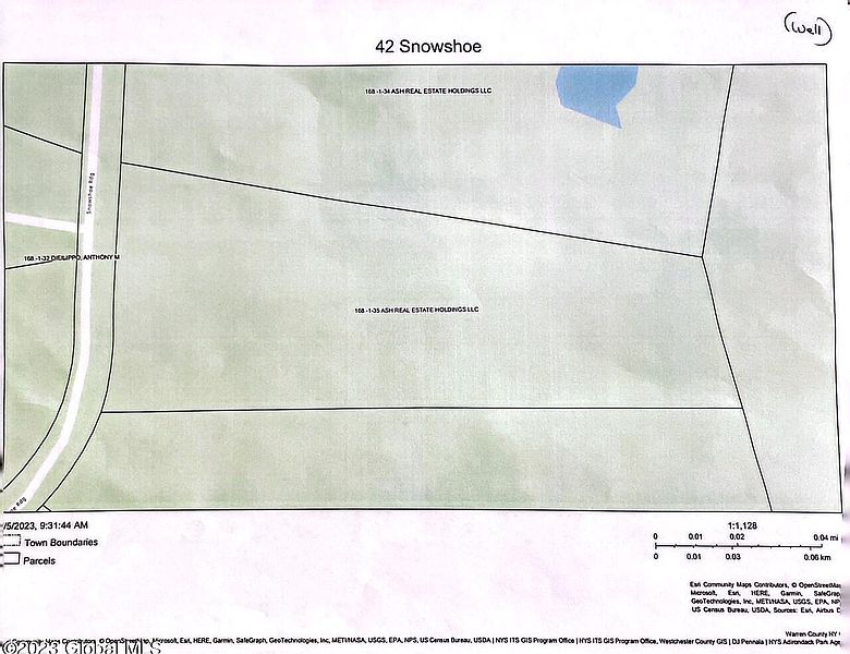 4th image of 42 Snowshoe Ridge