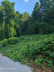 1577 Beans Fork Rd, Middlesboro, KY, 40965