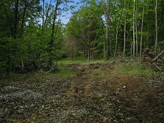 2nd image of 0 Holston Hollow Rd
