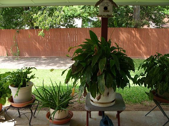5th image of 11811 Casa Bonita St
