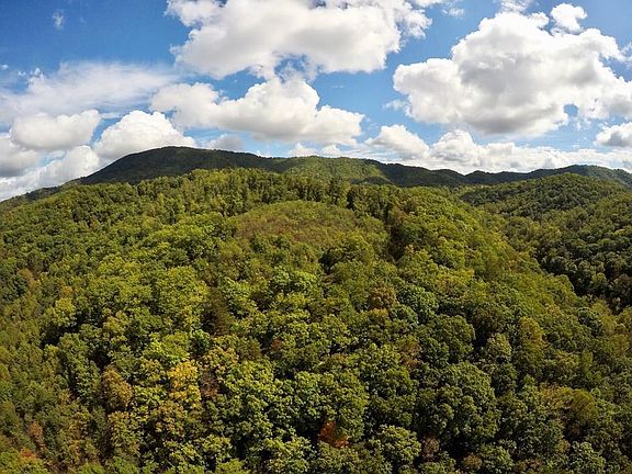 2nd image of Hogan Hollow Rd