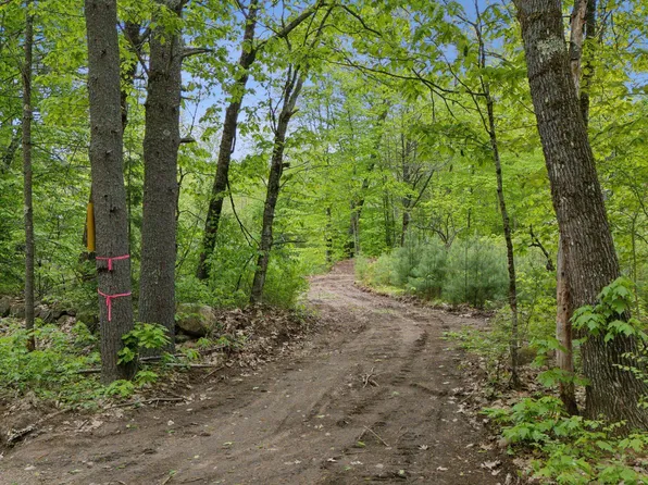 LOT 2 Hasty Road, Parsonsfield, ME 04047