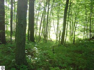 0 M 37, Wellston, MI 49689