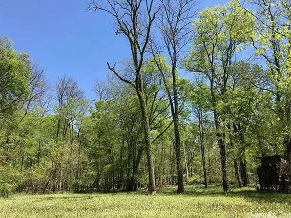 0 Proving Ground Rd, Blevins, AR 71825