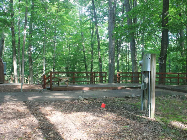 6390 S Outer Loop Dr #99, Custer, MI 49405
